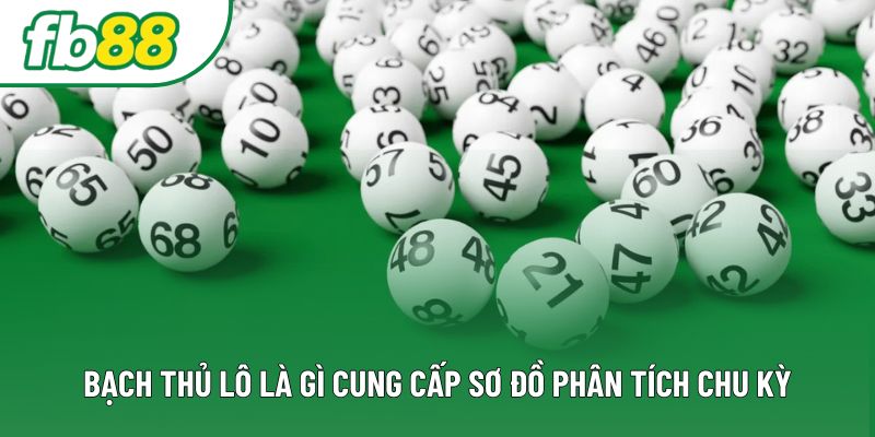Bạch thủ lô là gì cung cấp sơ đồ phân tích chu kỳ Bạch thủ lô là gì cung cấp sơ đồ phân tích chu kỳ