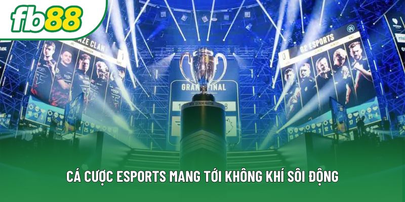 Cá cược esports mang tới không khí sôi động Cá cược esports mang tới không khí sôi động