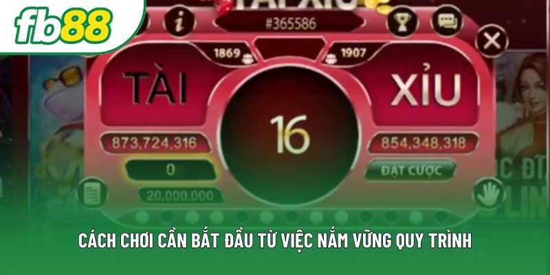 Cách chơi cần bắt đầu từ việc nắm vững quy trình Cách chơi cần bắt đầu từ việc nắm vững quy trình