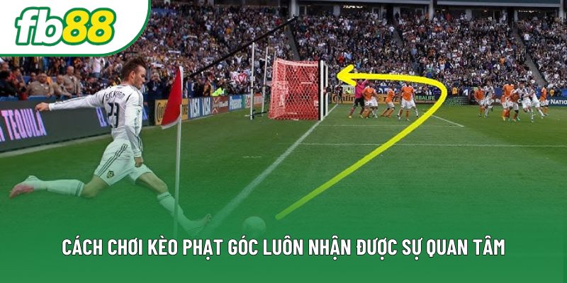 Cách chơi kèo phạt góc luôn nhận được sự quan tâm Cách chơi kèo phạt góc luôn nhận được sự quan tâm
