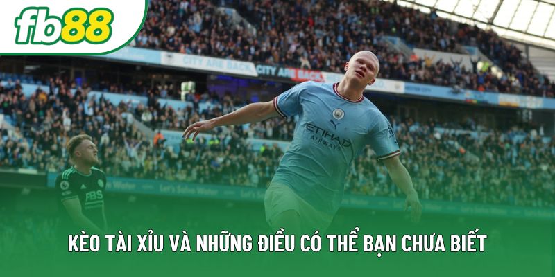 Kèo tài xỉu và những điều có thể bạn chưa biết Kèo tài xỉu và những điều có thể bạn chưa biết