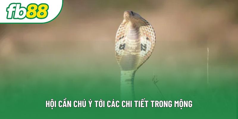 Hội cần chú ý tới các chi tiết trong mộng Hội cần chú ý tới các chi tiết trong mộng