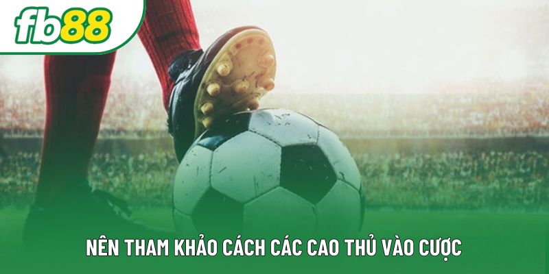 Nên tham khảo cách các cao thủ vào cược Nên tham khảo cách các cao thủ vào cược