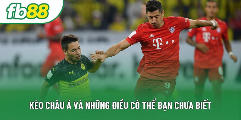 Kèo châu Á và những điều có thể bạn chưa biết Kèo châu Á và những điều có thể bạn chưa biết