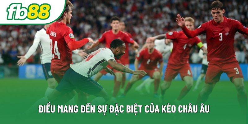 Điều mang đến sự đặc biệt của kèo châu Âu Điều mang đến sự đặc biệt của kèo châu Âu