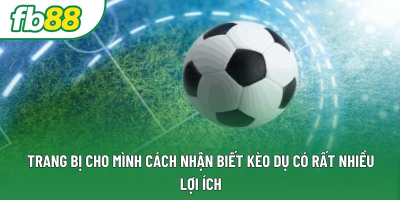 Trang bị cho mình cách nhận biết kèo dụ có rất nhiều lợi ích Trang bị cho mình cách nhận biết kèo dụ có rất nhiều lợi ích