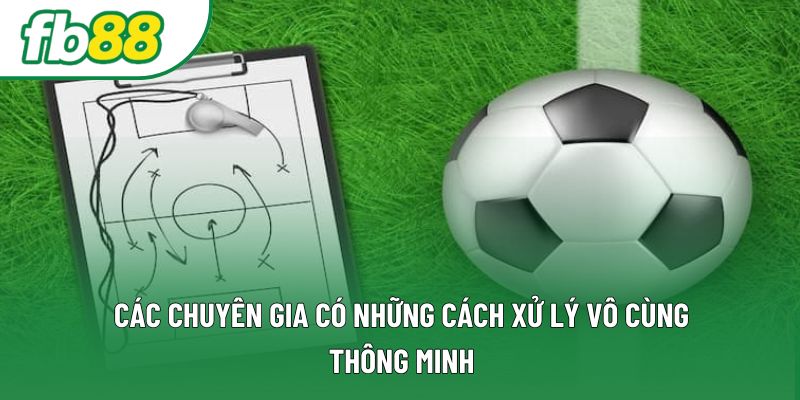 Các chuyên gia có những cách xử lý vô cùng thông minh Các chuyên gia có những cách xử lý vô cùng thông minh