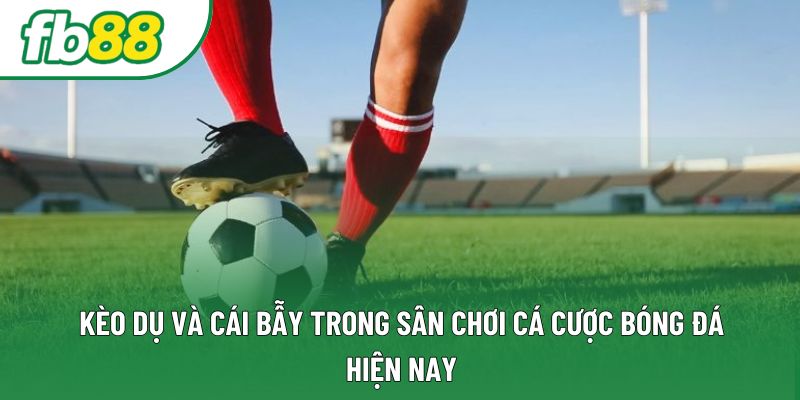 Kèo Dụ Và Cái Bẫy Trong Sân Chơi Cá Cược Bóng Đá Hiện Nay