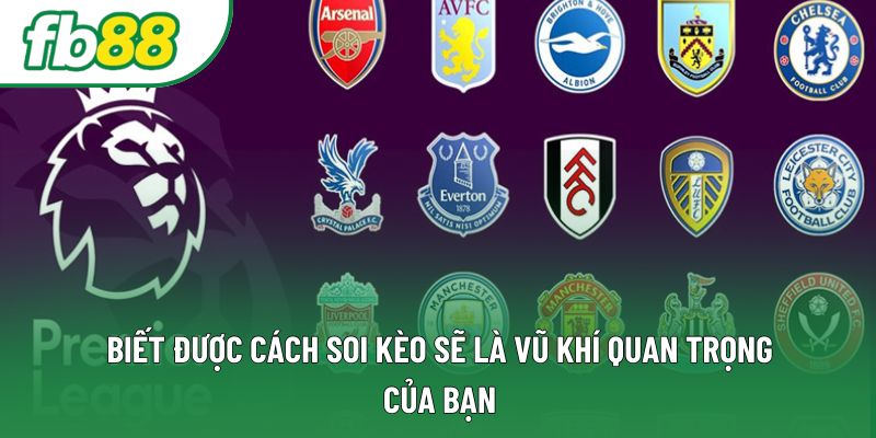 Biết được cách soi kèo sẽ là vũ khí quan trọng của bạn Biết được cách soi kèo sẽ là vũ khí quan trọng của bạn