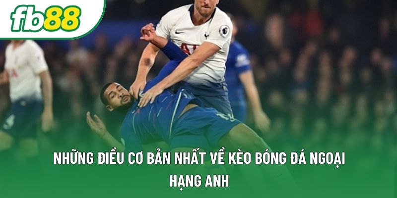 Những điều cơ bản nhất về kèo bóng đá ngoại hạng anh Những điều cơ bản nhất về kèo bóng đá ngoại hạng anh