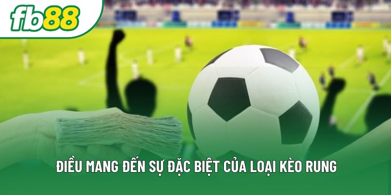 Điều mang đến sự đặc biệt của loại kèo rung Điều mang đến sự đặc biệt của loại kèo rung