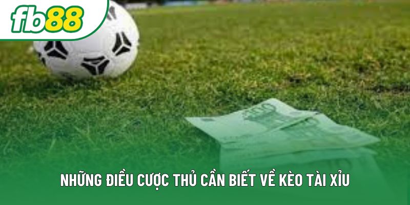 Những điều cược thủ cần biết về kèo tài xỉu Những điều cược thủ cần biết về kèo tài xỉu