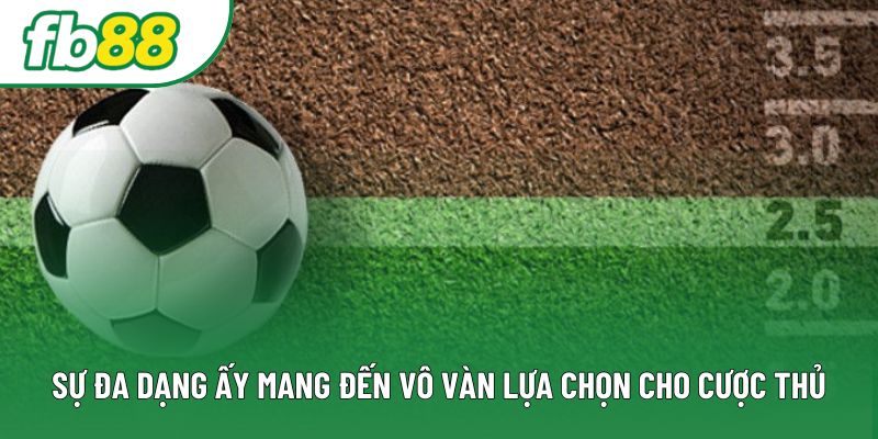 Sự đa dạng ấy mang đến vô vàn lựa chọn cho cược thủ Sự đa dạng ấy mang đến vô vàn lựa chọn cho cược thủ
