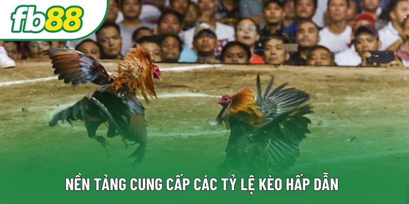 Nền tảng cung cấp các tỷ lệ kèo hấp dẫn Nền tảng cung cấp các tỷ lệ kèo hấp dẫn