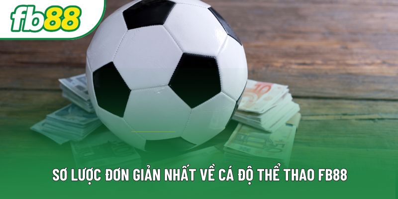 Sơ lược đơn giản nhất về cá độ thể thao fb88 Sơ lược đơn giản nhất về cá độ thể thao fb88