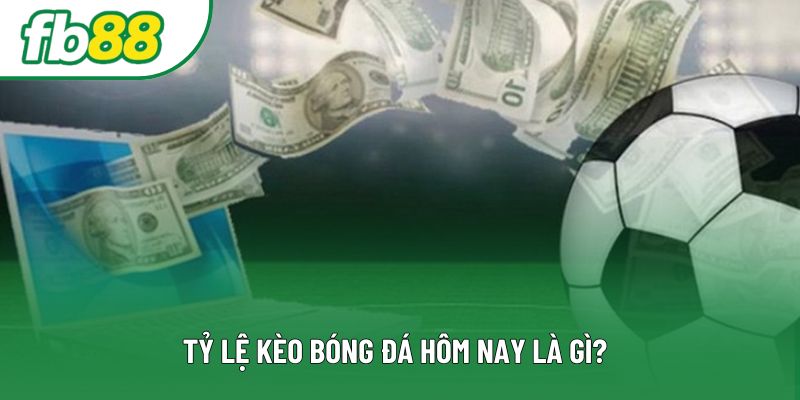 Tỷ lệ kèo bóng đá hôm nay là gì? Tỷ lệ kèo bóng đá hôm nay là gì?