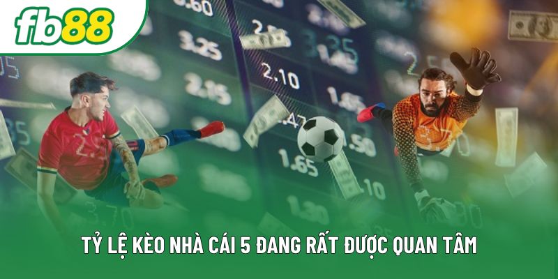 Tỷ lệ kèo nhà cái 5 đang rất được quan tâm Tỷ lệ kèo nhà cái 5 đang rất được quan tâm