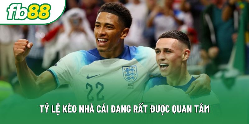 Tỷ lệ kèo nhà cái đang rất được quan tâm Tỷ lệ kèo nhà cái đang rất được quan tâm