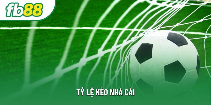 Tỷ Lệ Kèo Nhà Cái – Chìa Khóa Thành Công Của Các Cược Thủ